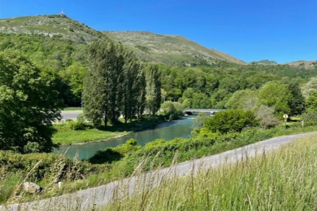 Parc public verdoyant face à l'Hôtel Saint-Clair